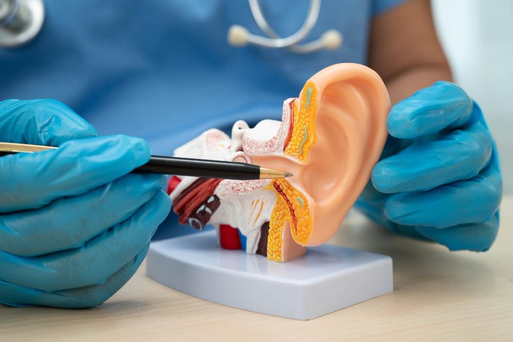 برنامج التأهيل السمعي لزارعي القوقعة